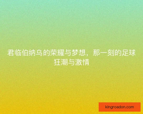 君临伯纳乌的荣耀与梦想,那一刻的足球狂潮与激情 君临伯纳乌的荣耀与梦想,那一刻的足球狂潮与激情