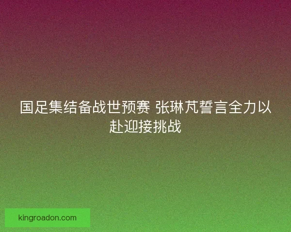 国足集结备战世预赛 张琳芃誓言全力以赴迎接挑战 国足集结备战世预赛 张琳芃誓言全力以赴迎接挑战